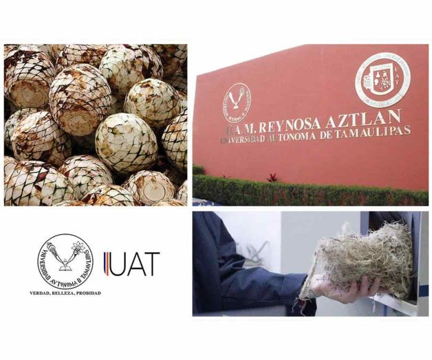 Propone estudiante generar ácido láctico con desechos del tequila