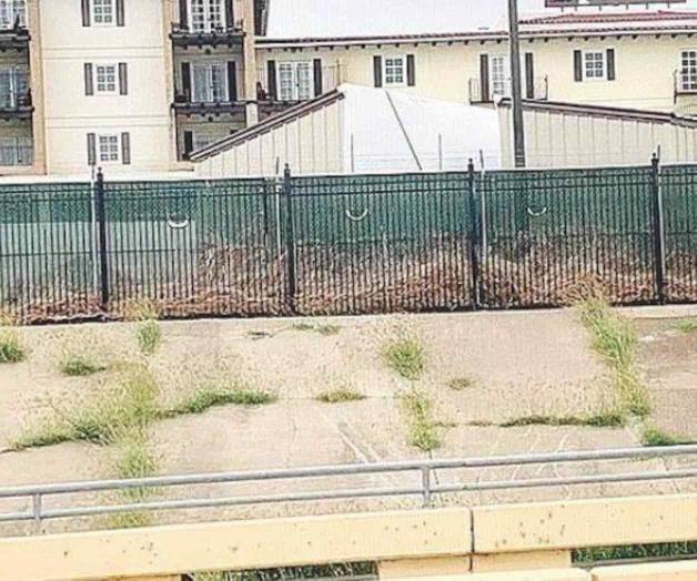 Retiran carpas para procesar