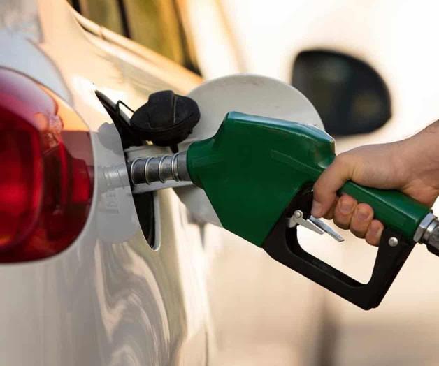 Llega Premium a 19.01 y la Magna hasta 16.99