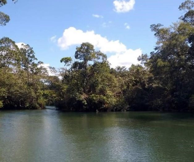 Piden lacandones ayuda a AMLO por conflicto en selva