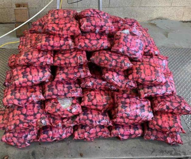 Asestan otro golpe al tráfico de drogas