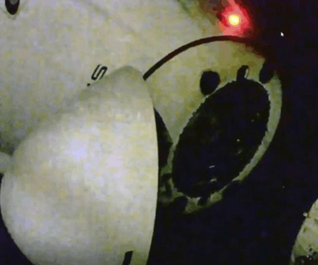 Cápsula de SpaceX parte con 4 astronautas hacia la Tierra