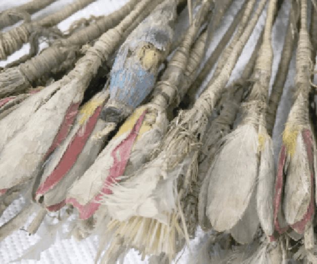 Los enigmas del penacho de Cuauhtémoc