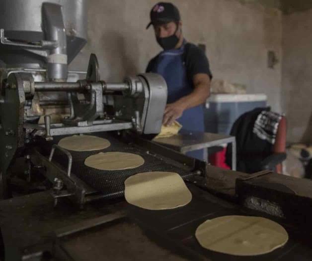 La tortilla de maíz alcanza en México su mayor precio desde 2017