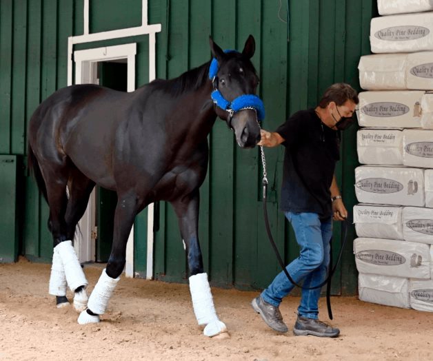 Marcha Spirit sin entrenador Marcha Spirit sin entrenador