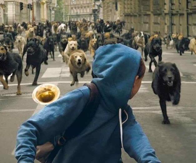 Entretenimiento en casa