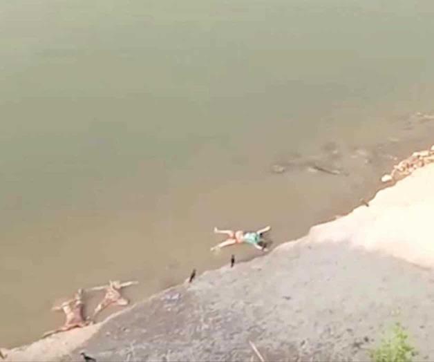 Flotan cadáveres en el río Ganges Flotan cadáveres en el río Ganges