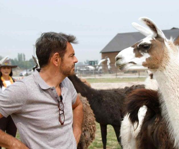 Los Derbez vuelven a salir de viaje, esta vez por carretera