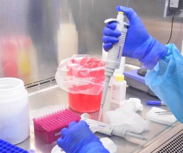 Suman seis contagios Suman seis contagios