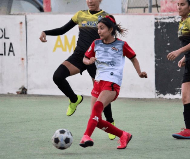 Liga de Bardas en pleno crecimiento