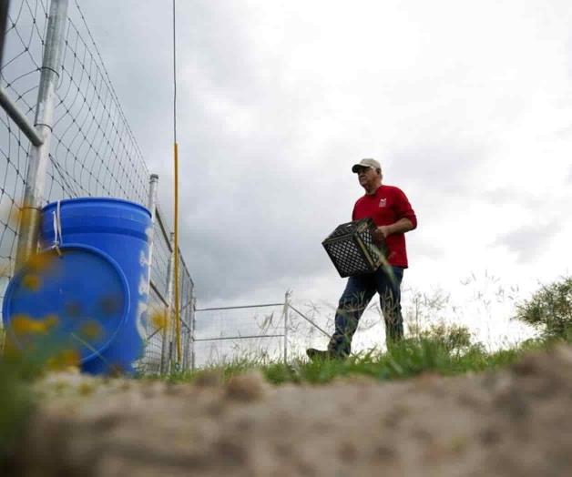 Con más cruces fronterizos, activistas buscan evitar muertes
