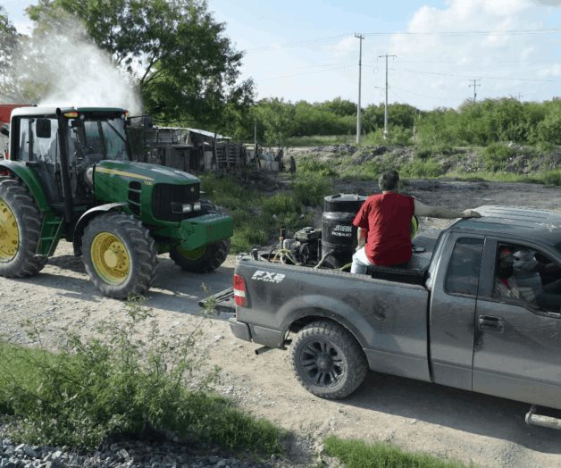 Intensifican fumigación