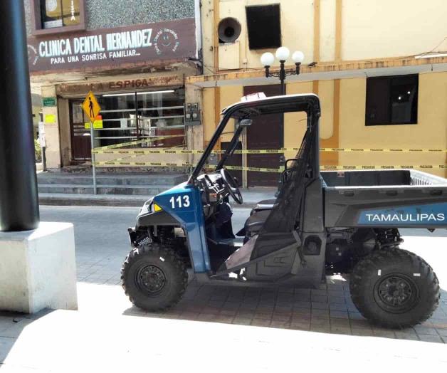 Amenazan abejas en la zona de mercados