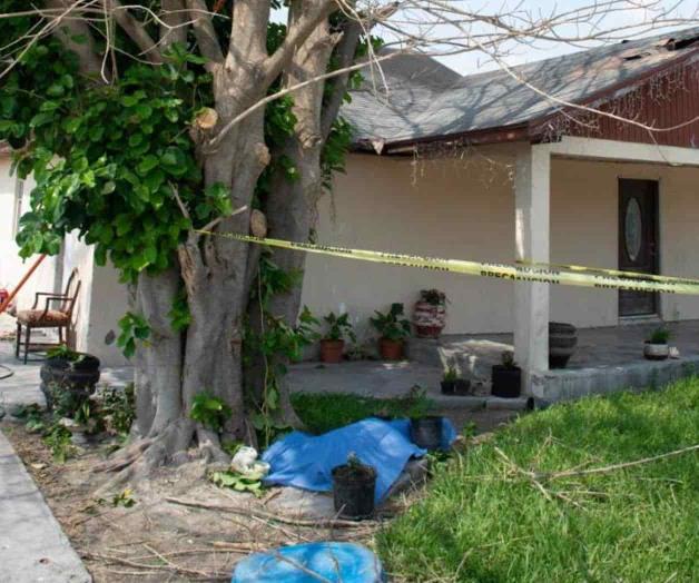 Muere joven al caer de árbol