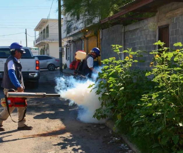 Investigan seis casos probables de dengue