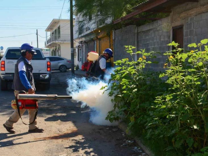 Investigan seis casos probables de dengue Investigan seis casos probables de dengue