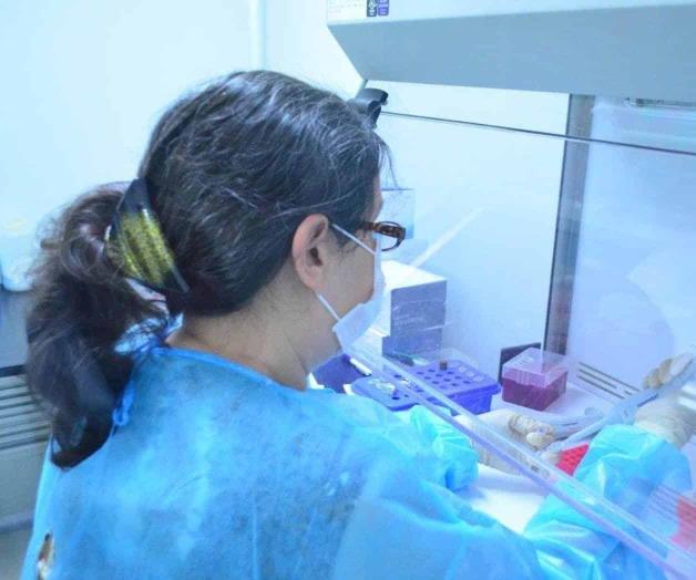 Registran primer muerte por COVID-19 en mayo; brotan 16