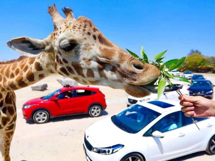 A la aventura A la aventura