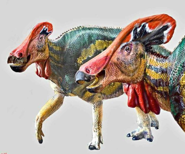 Hallan en Coahuila nuevo dinosaurio Hallan en Coahuila nuevo dinosaurio