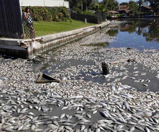 Cientos de lagos de EEUU y Europa están perdiendo oxígeno Cientos de lagos de EEUU y Europa están perdiendo oxígeno