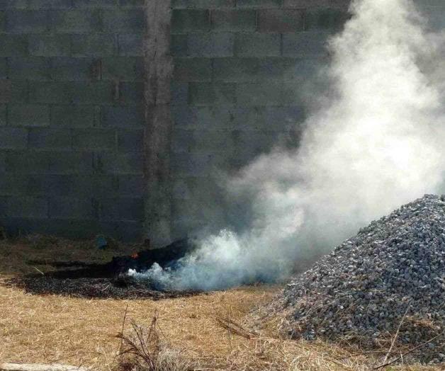 Queman basura para ahuyentar mosquitos