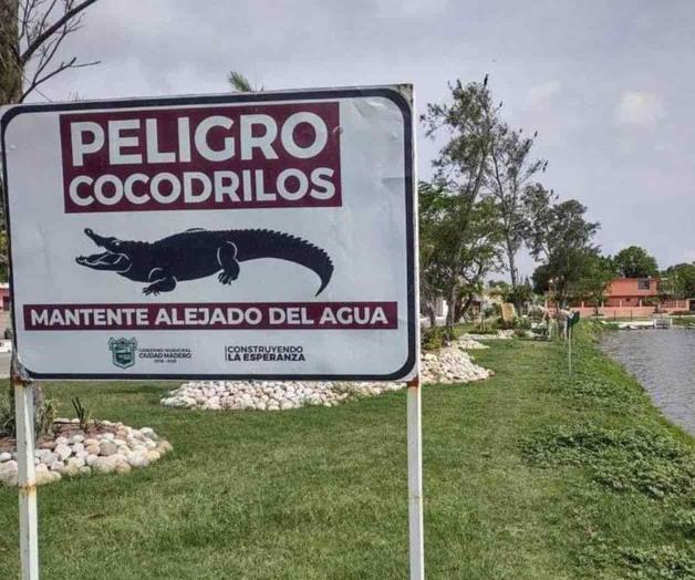 Cercan lagunas en Cd. Madero Cercan lagunas en Cd. Madero