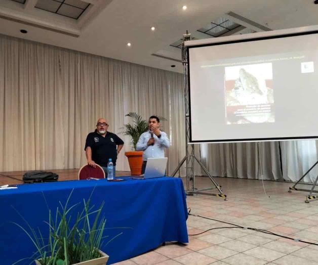 Descarta Ayuntamiento exterminio de cocodrilos Descarta Ayuntamiento exterminio de cocodrilos