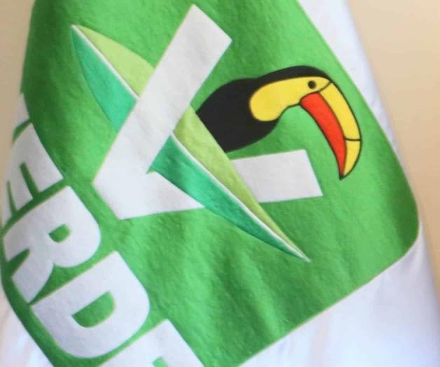 Multa INE al PVEM por mentir en gastos