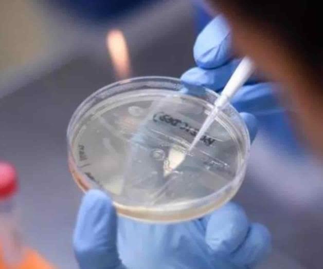 Causa variante Delta nuevos confinamientos Causa variante Delta nuevos confinamientos