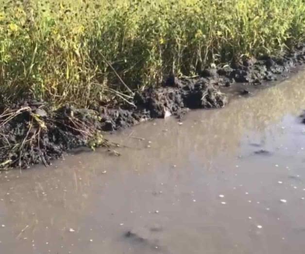 Dejan lluvias casi siete pulgadas de agua en la región Dejan lluvias casi siete pulgadas de agua en la región