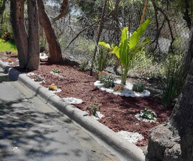 Vecinos al rescate de banquetas Vecinos al rescate de banquetas