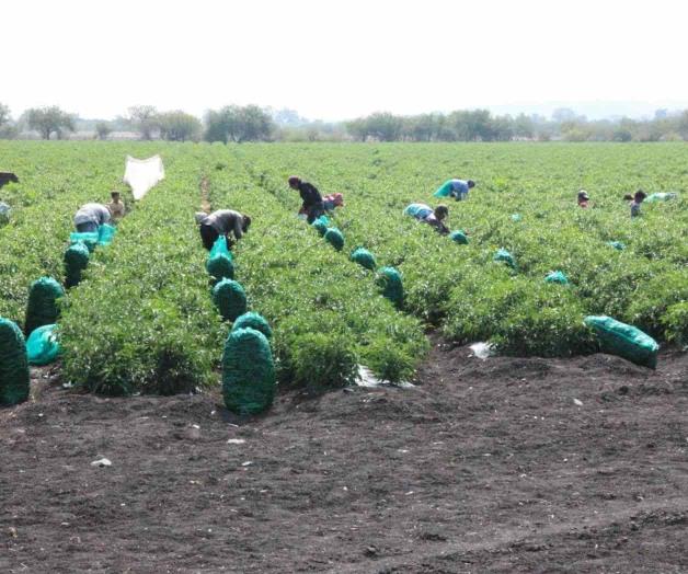 Prevén demandas en agro Prevén demandas en agro