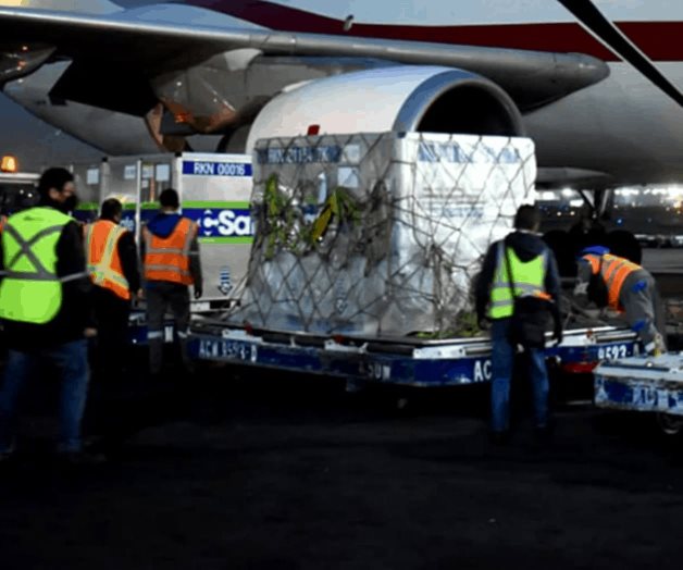 Llega a México embarque de vacunas AstraZeneca Llega a México embarque de vacunas AstraZeneca