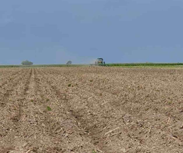 Preparan tierras, faltan las lluvias Preparan tierras, faltan las lluvias