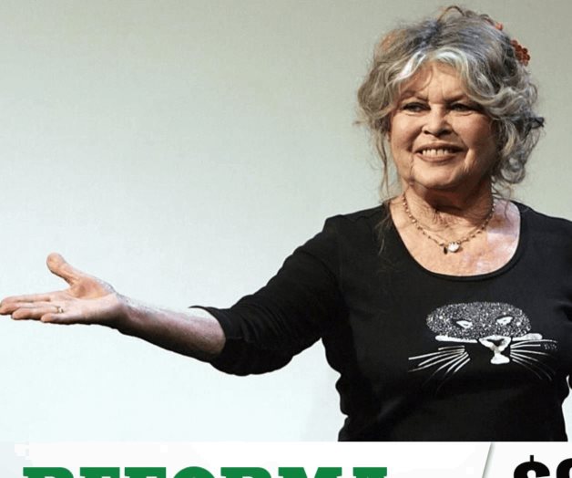 Declarada culpable Declarada culpable