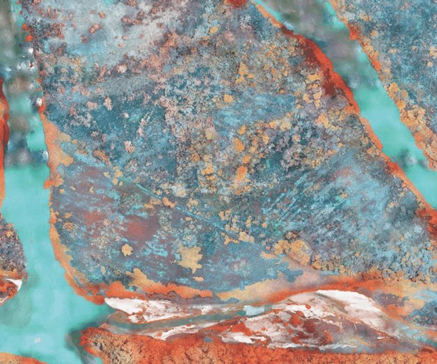 La belleza como un arma La belleza como un arma