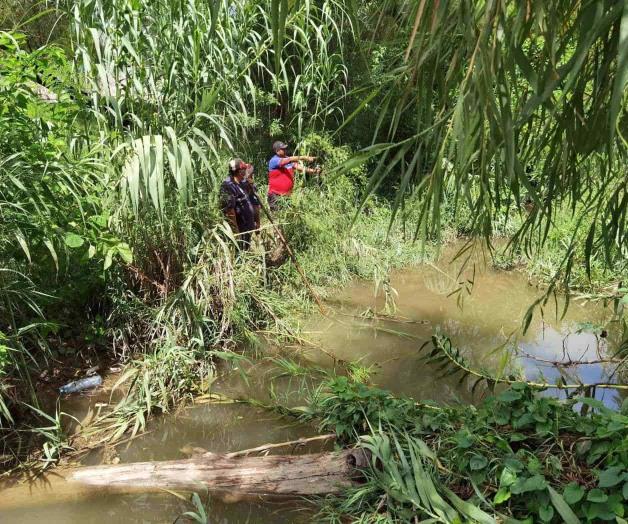 Peligroso intentar captura del cocodrilo ‘prófugo’ Peligroso intentar captura del cocodrilo ‘prófugo’