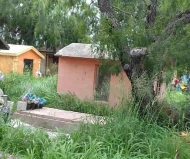 Olvidan limpiar los panteones Olvidan limpiar los panteones