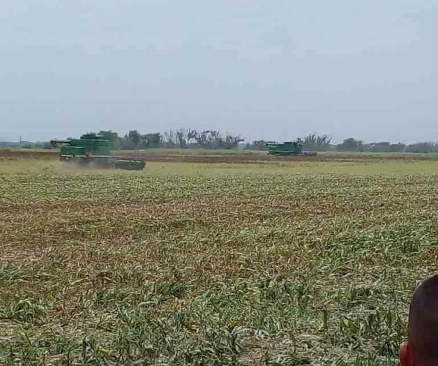 Aprovechan tregua de lluvias Aprovechan tregua de lluvias