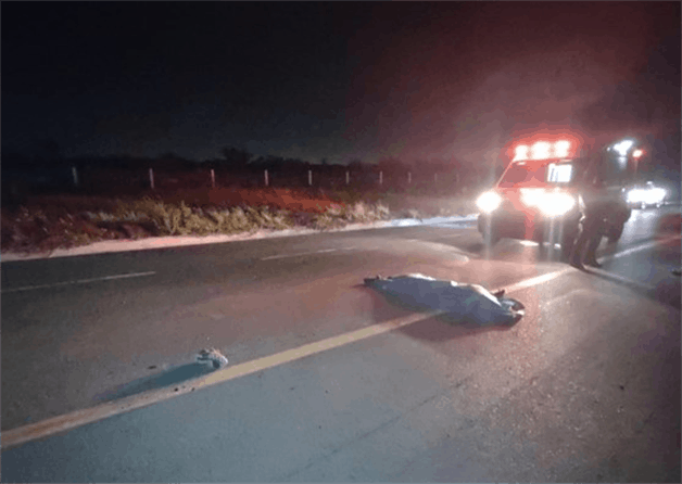 Embiste, mata y escapa Embiste, mata y escapa