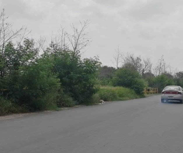 Urgen limpiar terrenos de Pemex están llenos de maleza Urgen limpiar terrenos de Pemex están llenos de maleza