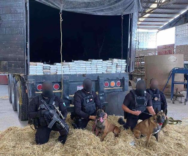 ¡Narcobodega! ¡Narcobodega!