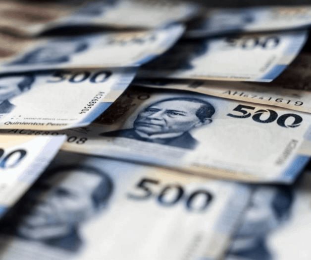 Evaden licitar en 80% de compras Evaden licitar en 80% de compras