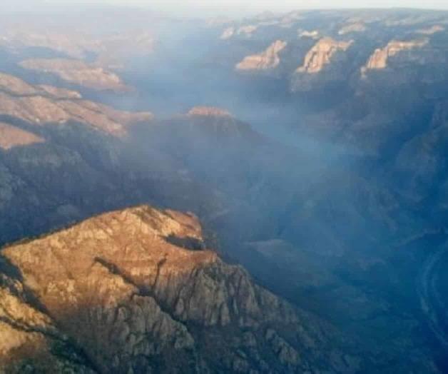 Cuando los talamontes sicarios obligan al exilio Cuando los talamontes sicarios obligan al exilio