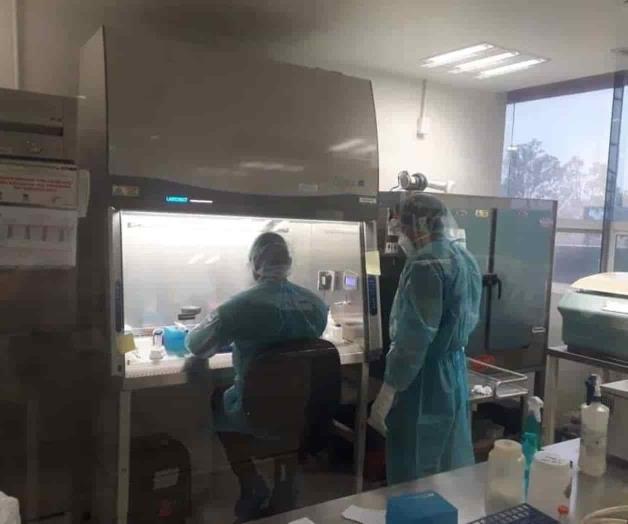 Suma Covid 9 casos más