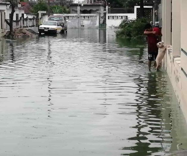 Reynosenses renuentes a dejar viviendas inundadas Reynosenses renuentes a dejar viviendas inundadas