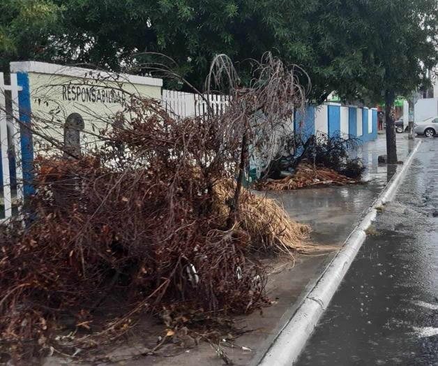 Escuelas en abandono total Escuelas en abandono total