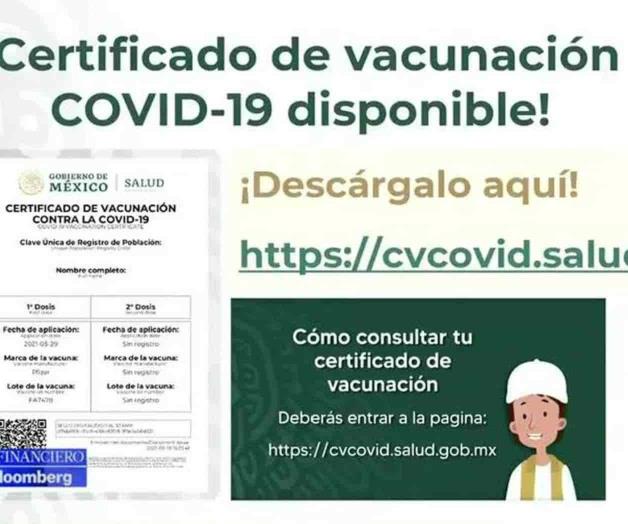 Disponen de certificado de vacunación Disponen de certificado de vacunación