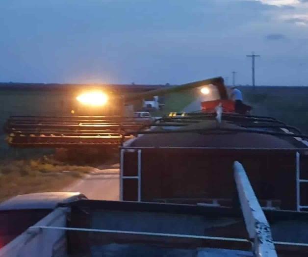 Frenan trillas por las lluvias Frenan trillas por las lluvias