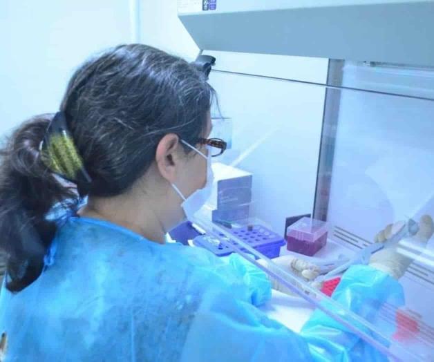 Regresan contagios de Covid en menores Regresan contagios de Covid en menores